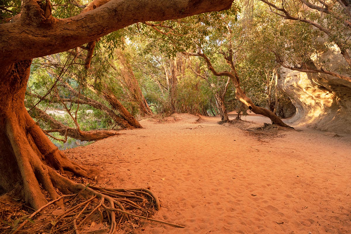 The walk into Bandilngan (Windjana Gorge) is an easy relaxed stroll from the Adventure Wild campsite. The gorge is home to a variety of birdlife and animals