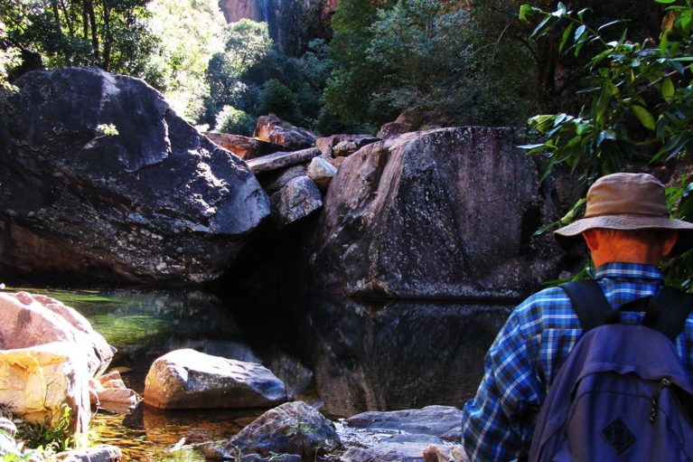 4 The walk into Emma Gorge, El Questro Station is picturesque, nature's garden with rock formations, pools & towering walls around you - Day 5