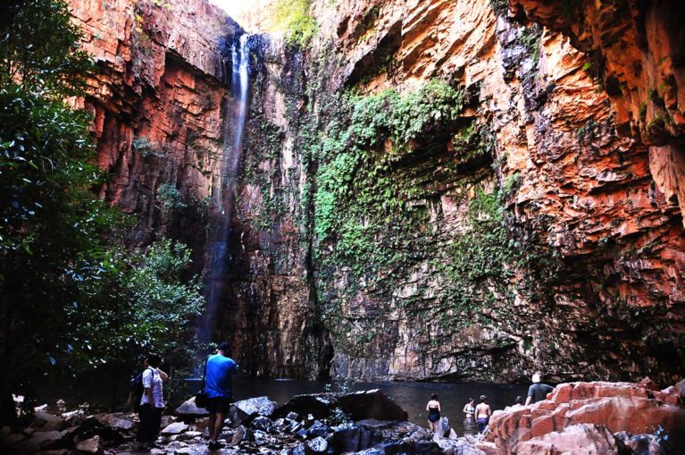 5 At the end of Emma Gorge you are surrounded by 120 m sandstone cliff face walls. Enjoy a refreshing swim beneath the falls. El Questro Station. - Day 5