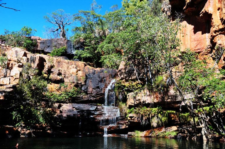 6 Galvan's Gorge an easy stroll to a picturesque swimming hole & waterfall. With a Boab tree, native animals & Indigenous art, Galvan's has it all