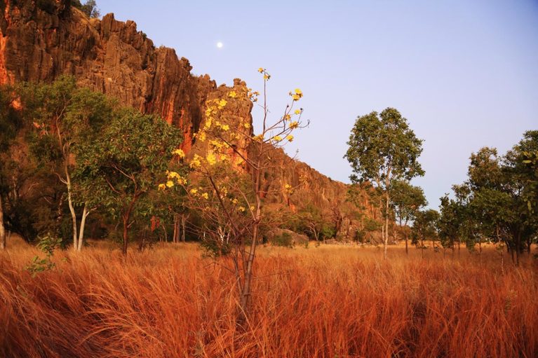 7 Moonrise over the Devonian limestone walls of Bandilngan (Windjana Gorge), formed over 300 million years ago. A stunning place for your first night camp