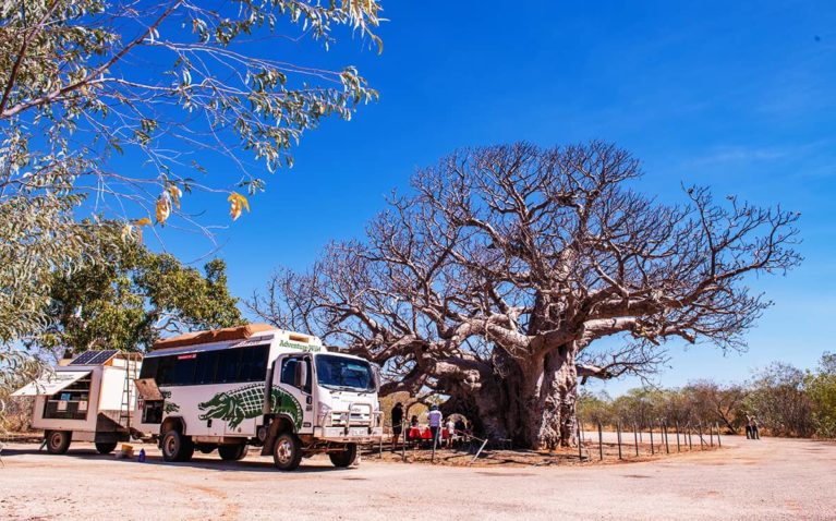 7 We travel the Great Northern Highway home, passing Boab trees in all shapes & sizes. Destination Broome, where our tour began 12 days ago_ - Day 12
