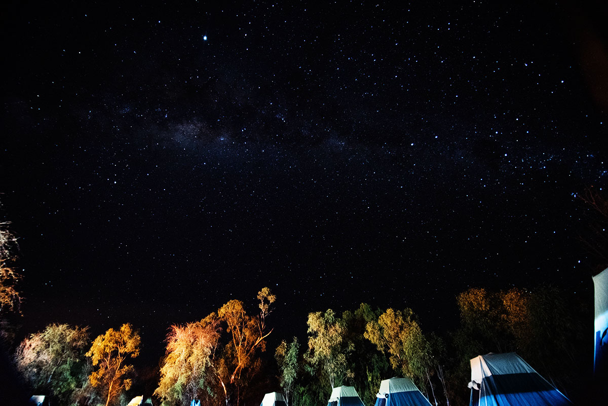 Millions of stars are visible above our Bandilngan (Windjana Gorge) Adventure Wild campsite, night 1 of your Kimberley outback tour