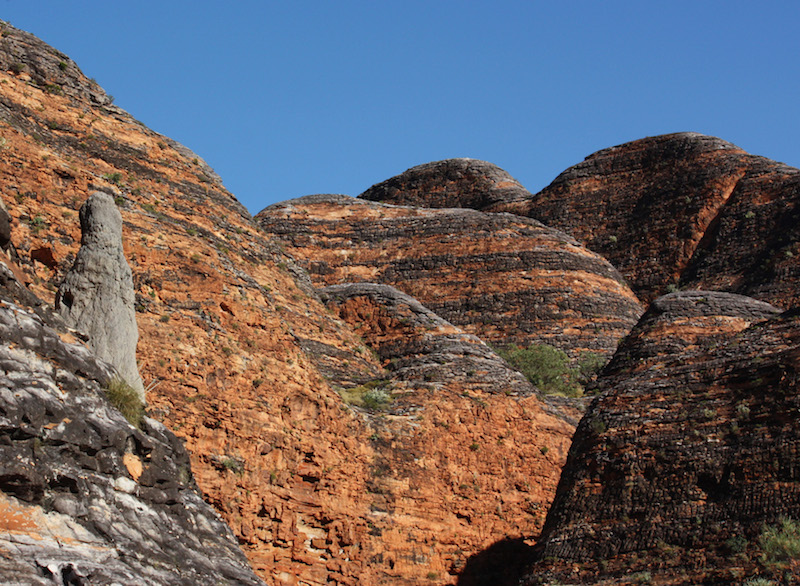 Adventure Wild Kimberley Tours Termite mound rivalling the Bungle Bungles