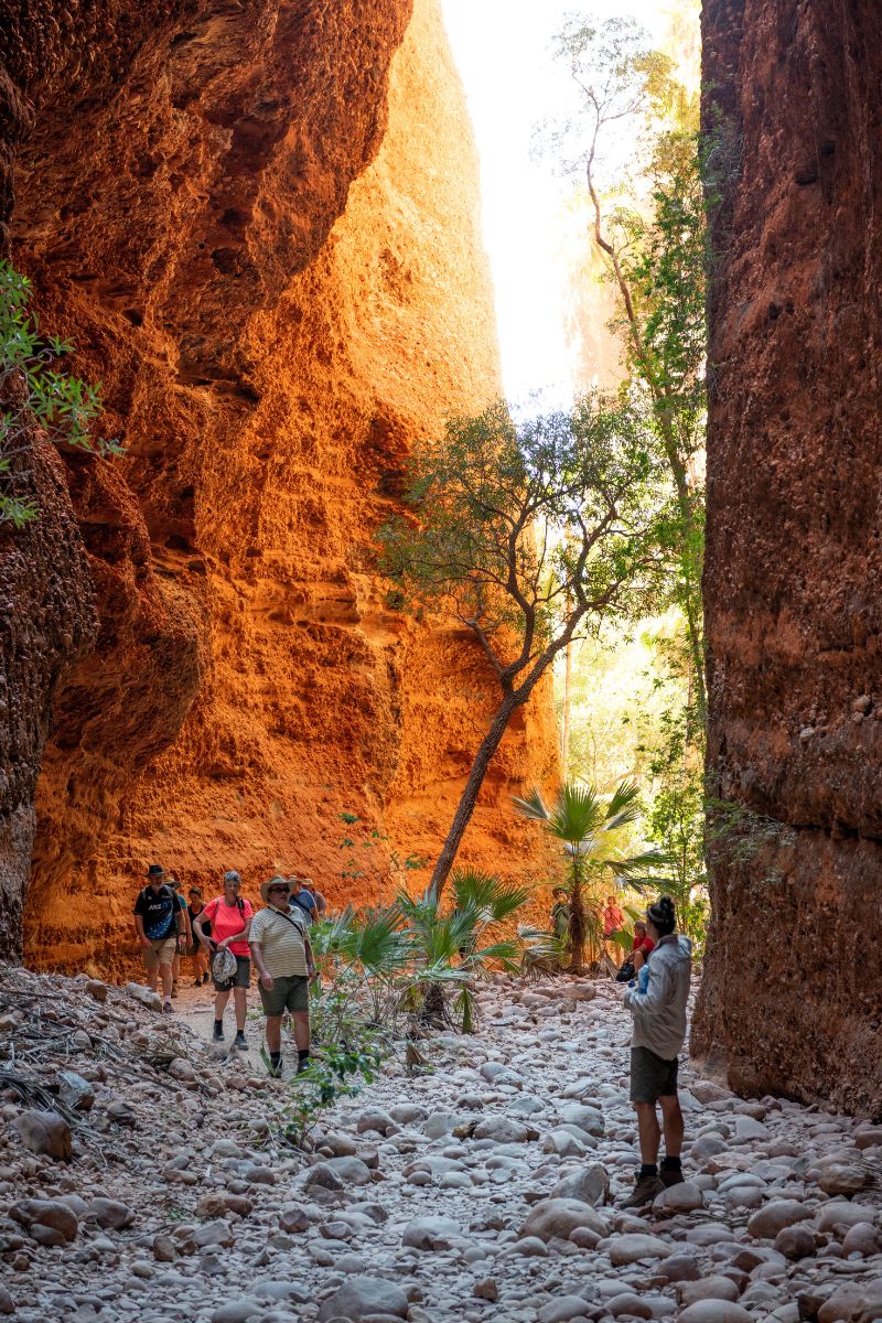 Adventure Wild guides lead the path into Echidna Chasm