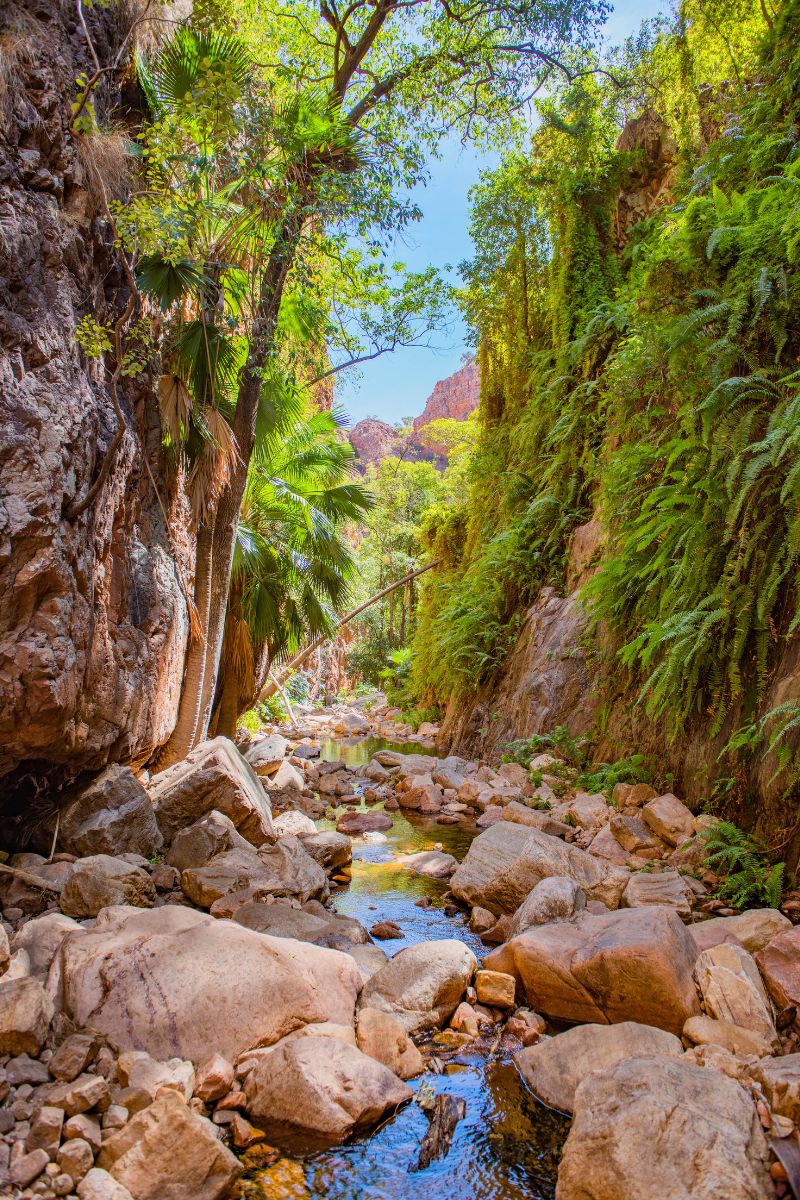 El Questro Gorge walk is shaded though very rocky
