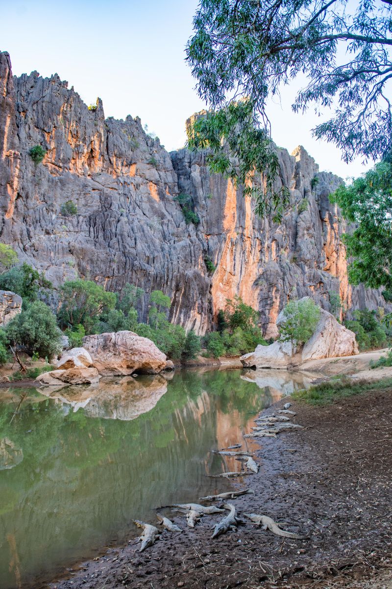 Freshwater crocodiles can be viewed from the path within Windjana Gorge