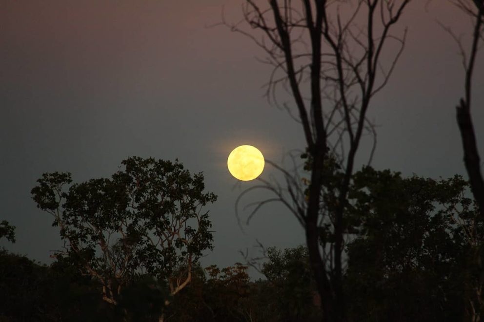 Full moon over the Kimberley illuminates the Adventure Wild campground as we enjoy exploring the Gibb River Road.