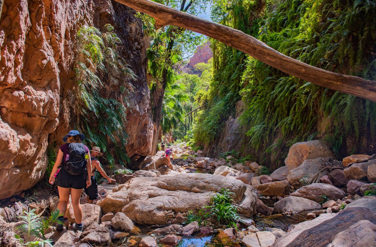 Many of the rocks are smooth and easy walking within El Questro Gorge, however, please watch your step
