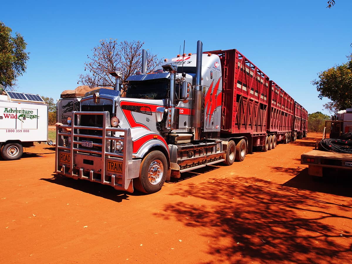 Road trains travel the Gibb River Road transporting cattle from the many million acre cattle stations in the Kimberley