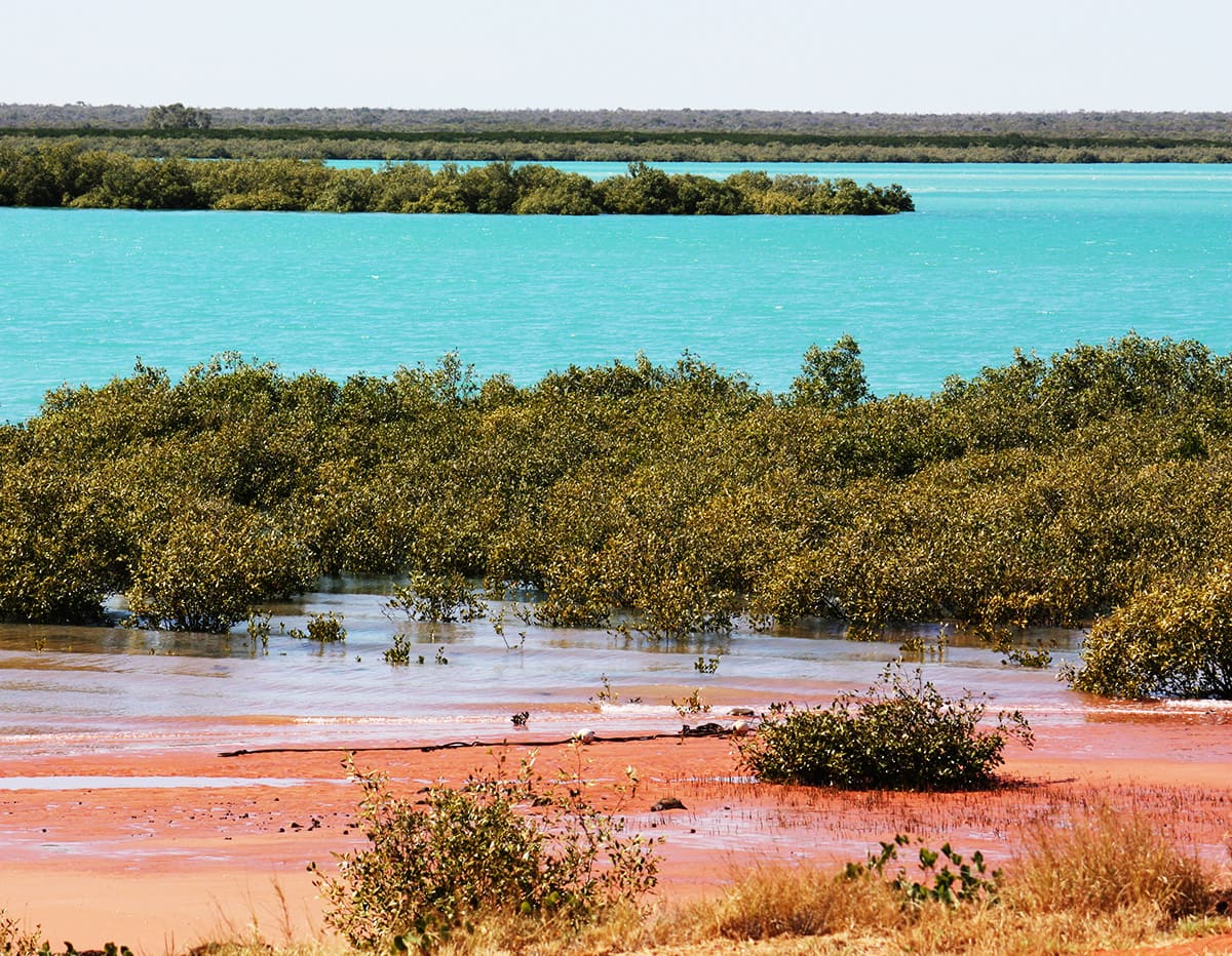 Roebuck Bay Broome. On a full tide the pindan-soil colours the turquoise waters amongst the mangroves at Town Beach