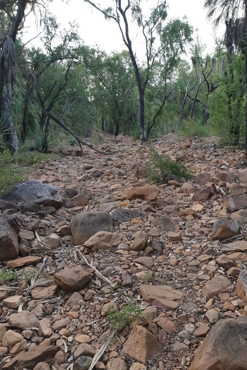 Sections of the hike into Bell Gorge include walking along a dry river bed