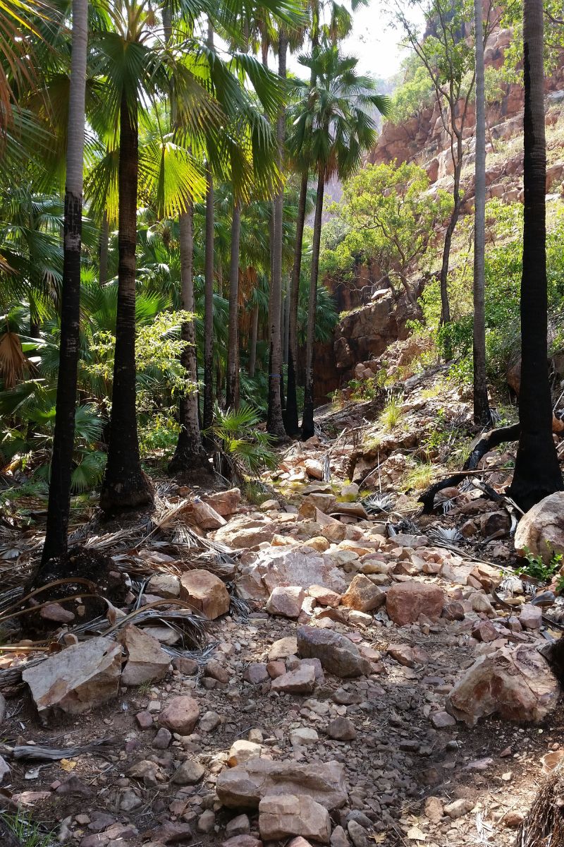 Steady as you go, a reasonably flat path, however rocks can move underfoot