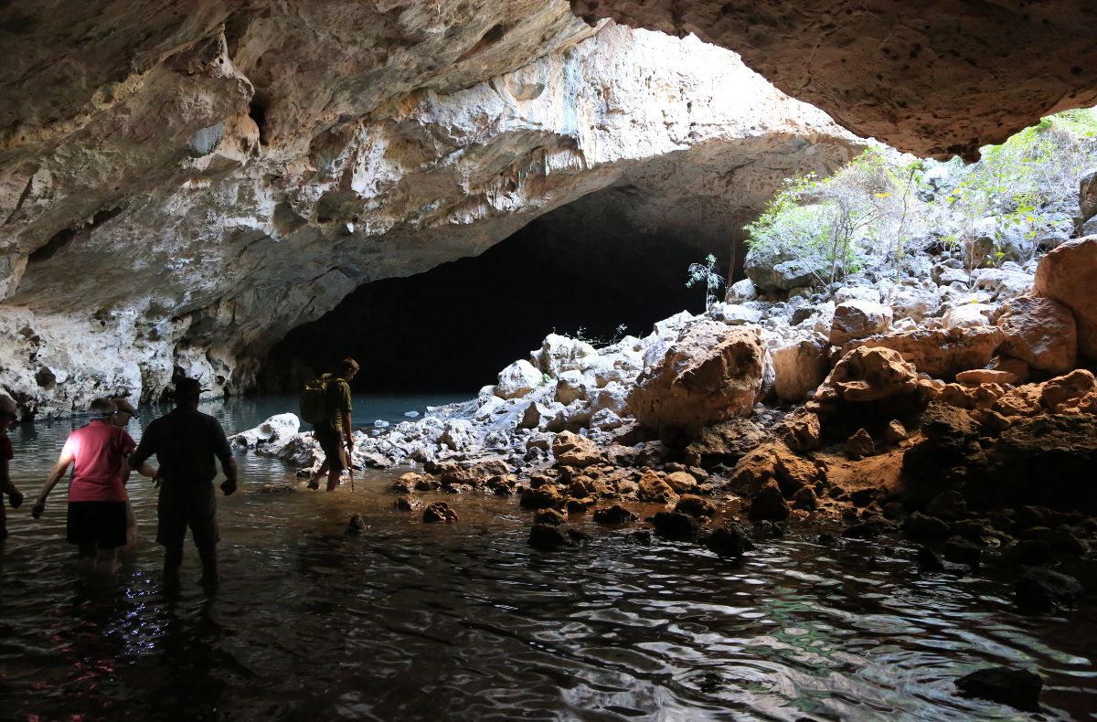 The depth of water within Tunnel Creek varies each season from dry river bed to shallow wading through sections of the creek
