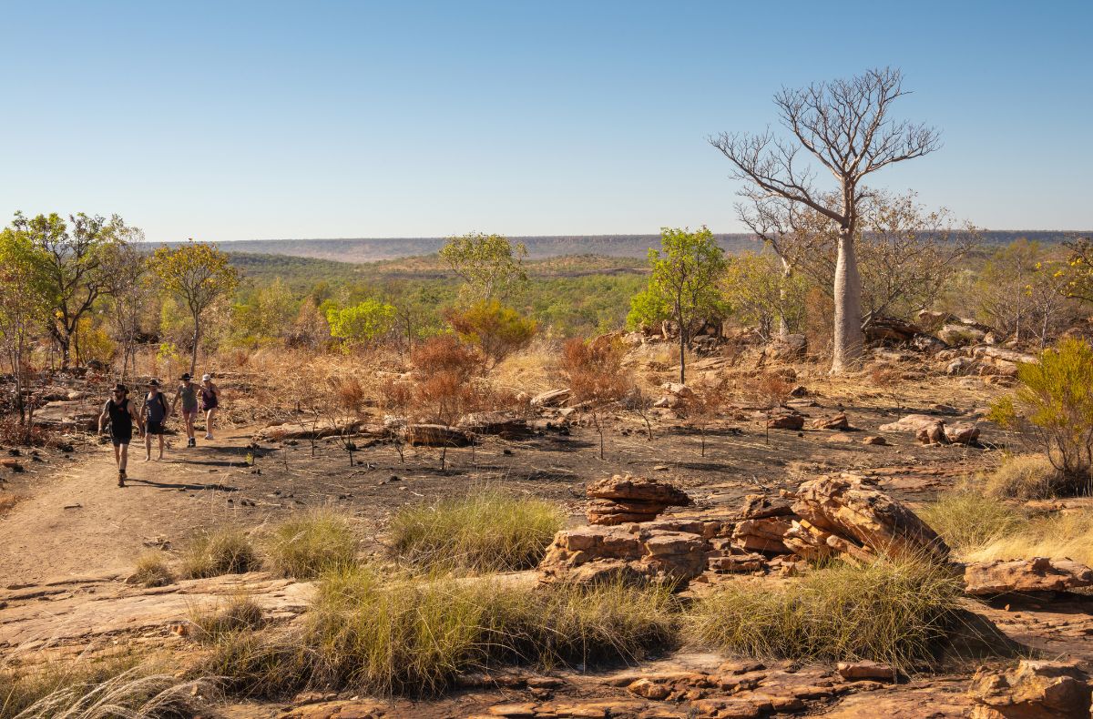 The hike into Manning Falls is the longest that we achieve
