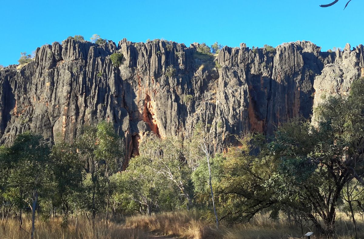 The path from Adventure Wild's camp to enter Windjana Gorge is an easy trail