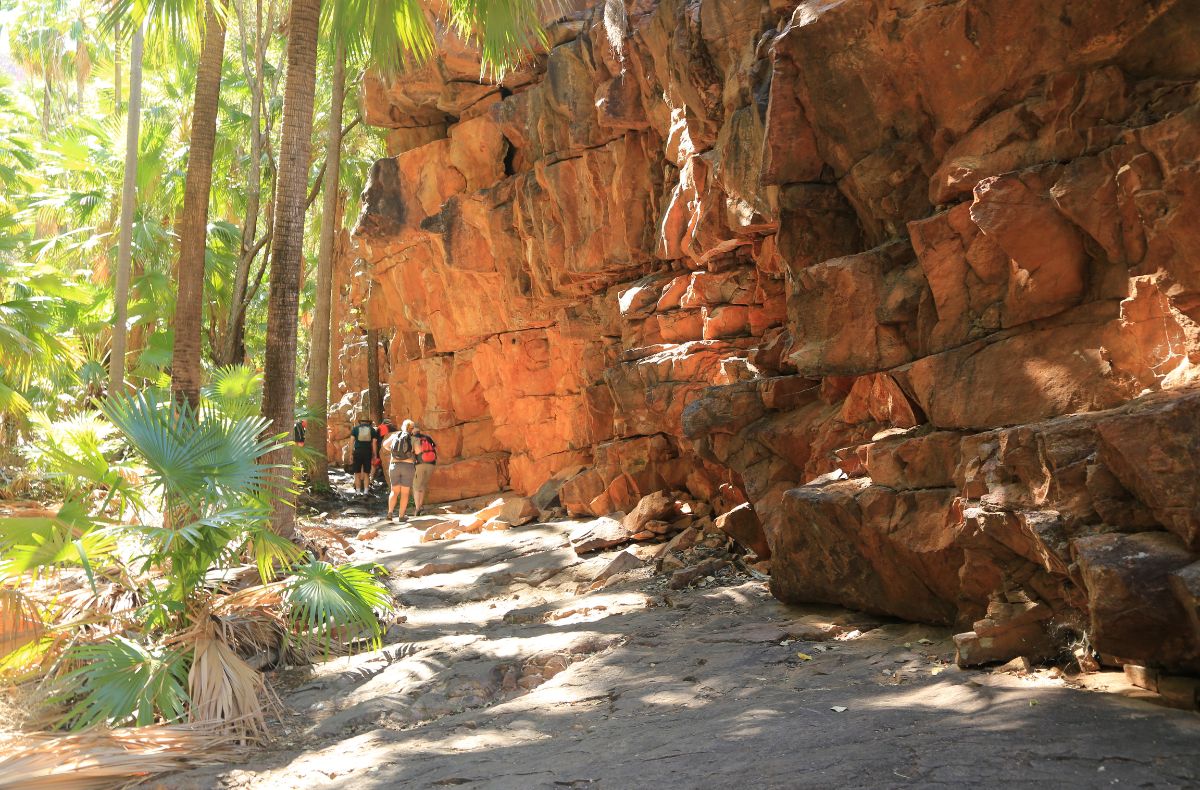 The smoother paths are appreciated