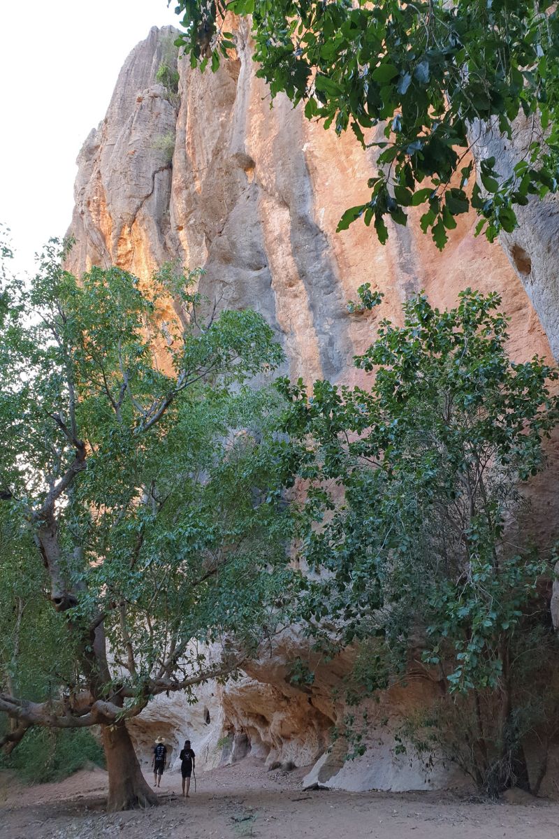 Walking beneath the ancient walls of a Devonian Reef System - Windjana Gorge