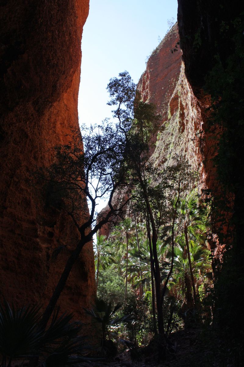 Welcome to the entrance to Echidna Chasm