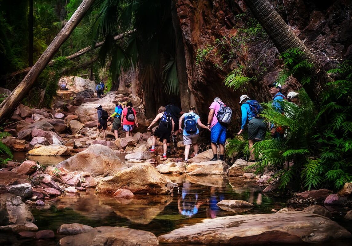 Follow a creek into El Questro Gorge, a shady walk over rocky terrain. Enjoy the tropical fern lined walls & a swim