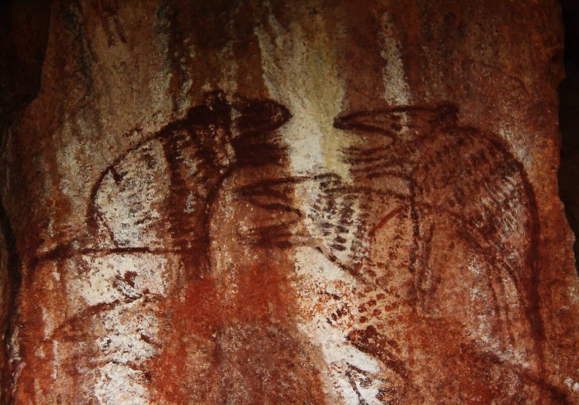 Indigenous rock art dates back thousands of years. Rock Wallabies, found throughout the Kimberley region are painted