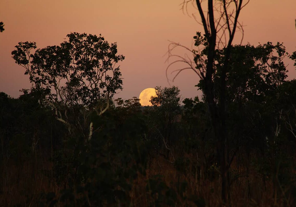 Moonrise in the Kimberley outback illuminates the bushland surrounding Adventure Wild Kimberley Tours camp.